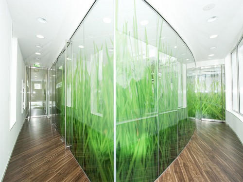 Iwaarden interior - window graphics - glasdecoratie met print op glasfolie voor sfeer en privacy