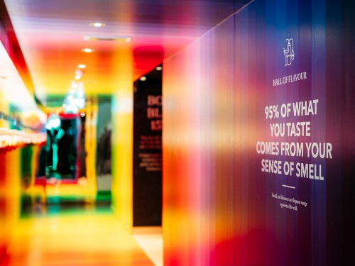 Iwaarden, iwaarden signing, signing, wanddecoratie, experience design, belettering, visual, print op wand