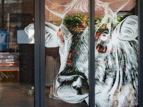 raamstyling met illustratie van een rund uitgevoerd als witte print op transparante glasfolie voor keurslager in voorthuizen