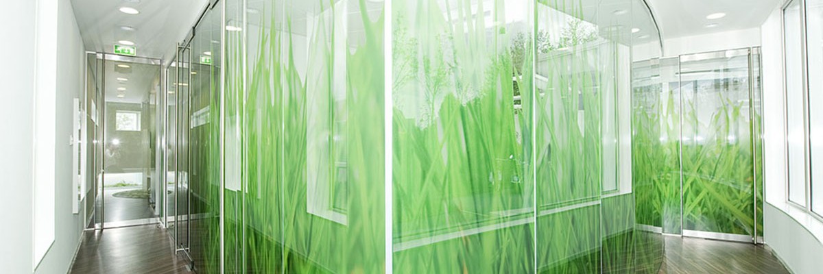 Sfeer bij tandarts met wanddecoraties en glasdecoraties door Iwaarden uitgevoerd als print op behang en print op glasfolie