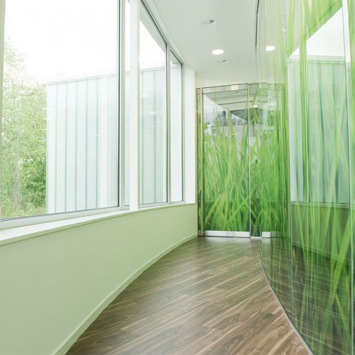 Sfeer bij tandarts met wanddecoraties en glasdecoraties door Iwaarden uitgevoerd als print op behang en print op glasfolie